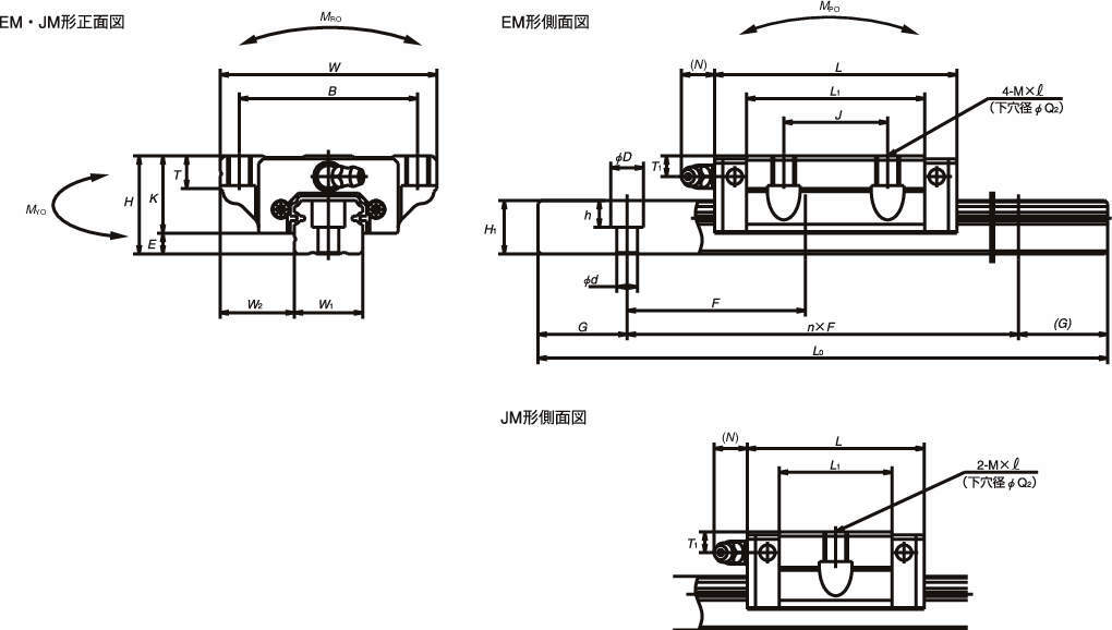 日本精器 ツインガイドシリンダ 20×100リフトタイプすべり軸受  BN6A5320100(8480846)[送料別途見積り][法人・事業所限定][掲外取寄] 電動工具