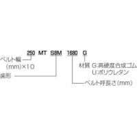 メガトルクG タイミングベルト MTS8M形（高硬度合成ゴム） | 三ツ星 